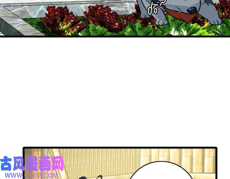 超神道术第74话 九印派