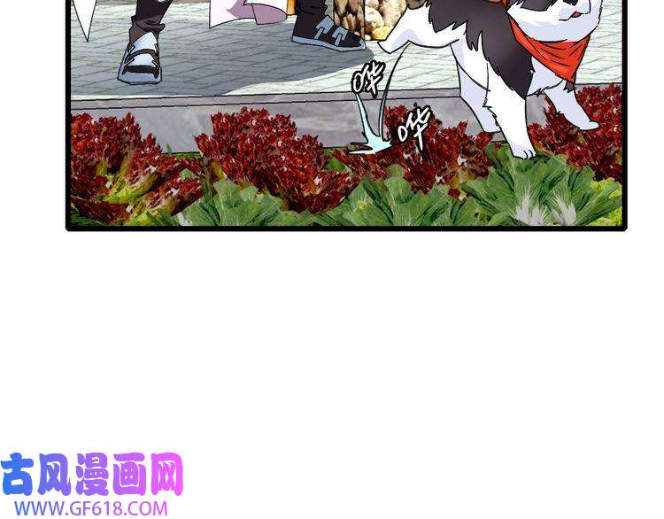 超神道术第74话 九印派