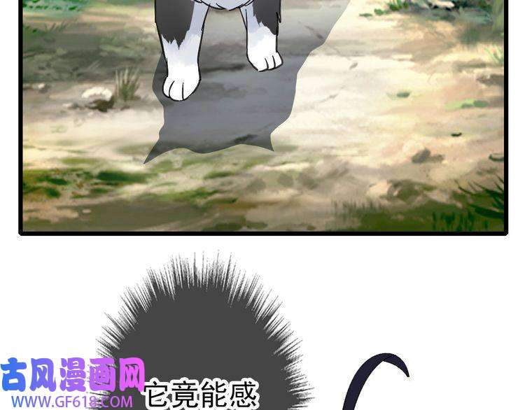 超神道术第74话 九印派