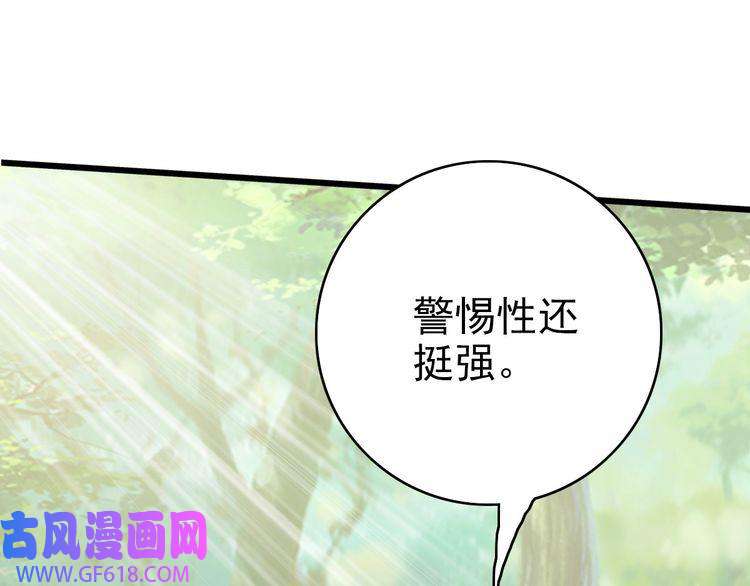 超神道术第31话 偷袭