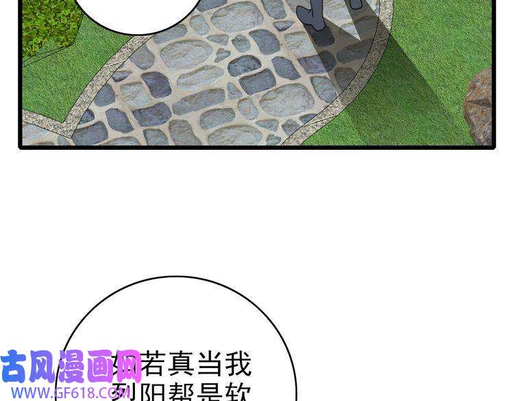 超神道术第91话 狄家修士