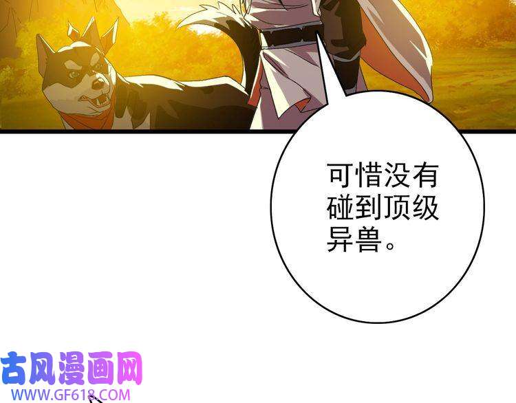 超神道术第92话 收获满满