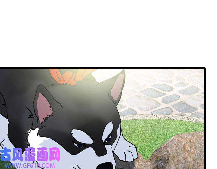 超神道术第92话 收获满满