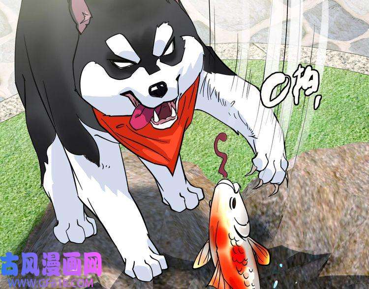超神道术第92话 收获满满