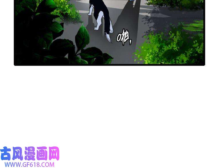 超神道术第94话 初入雾谷
