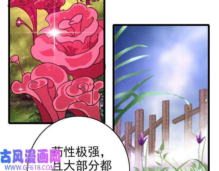 超神道术第97话 古修遗址