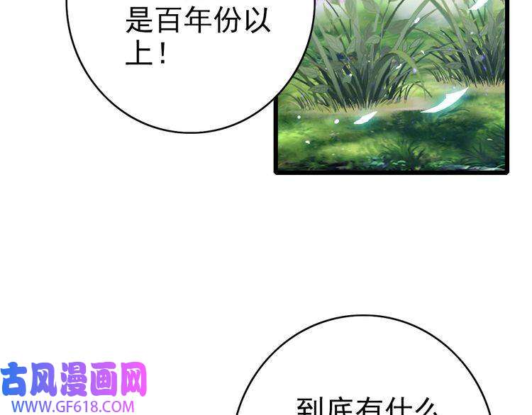 超神道术第97话 古修遗址