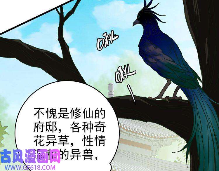 超神道术第102话 雷霆万钧