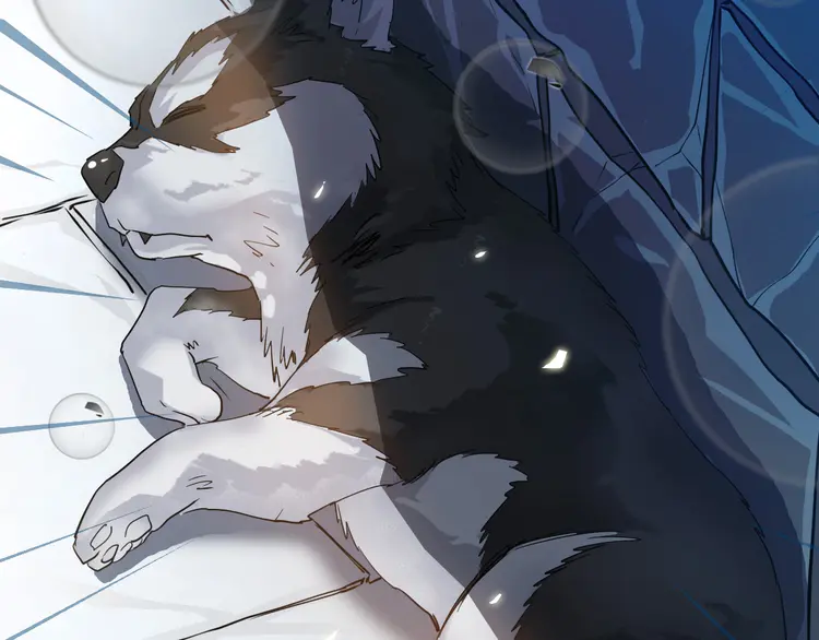 超神道术42 第41话 灭门案