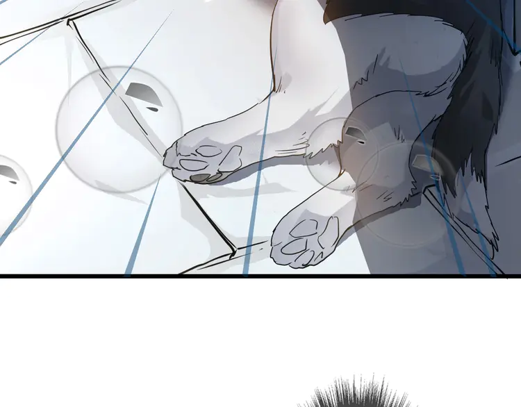 超神道术42 第41话 灭门案