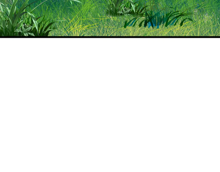 超神道术52 第51话 贼船