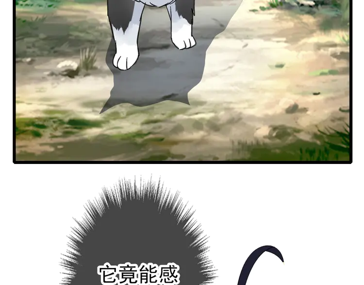 超神道术75 第74话 九印派