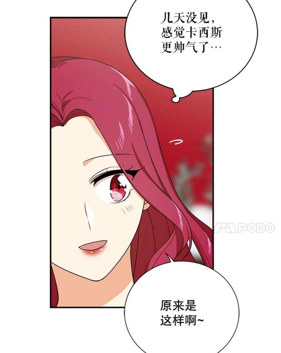 反派的继母28.卡西斯消失了？