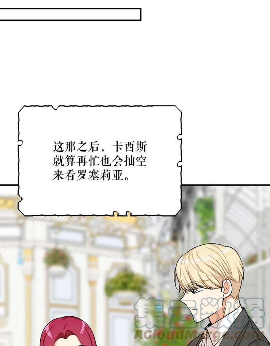 反派的继母28.卡西斯消失了？