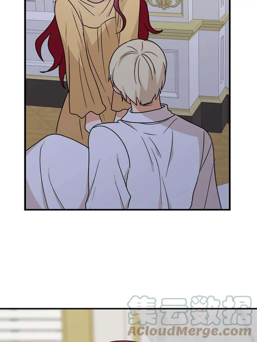 反派的继母43.弟弟？