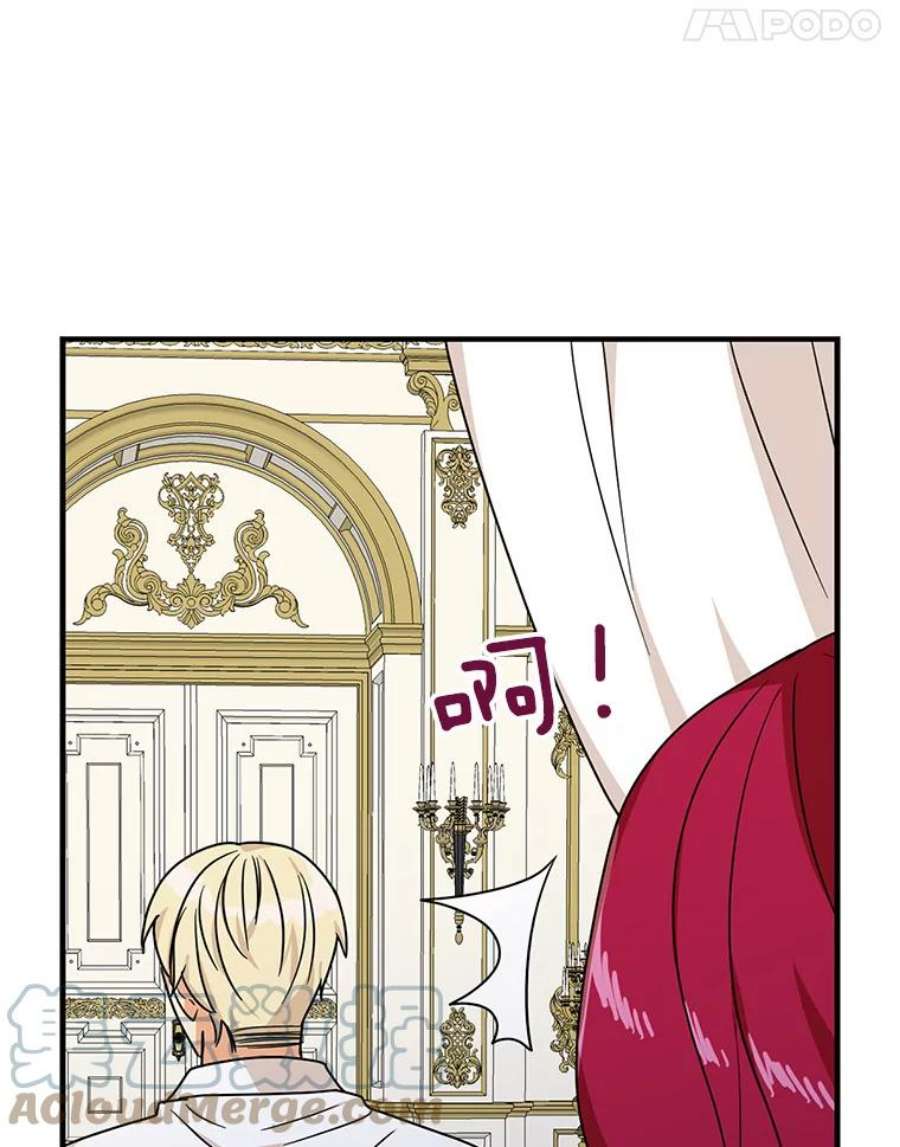 反派的继母43.弟弟？