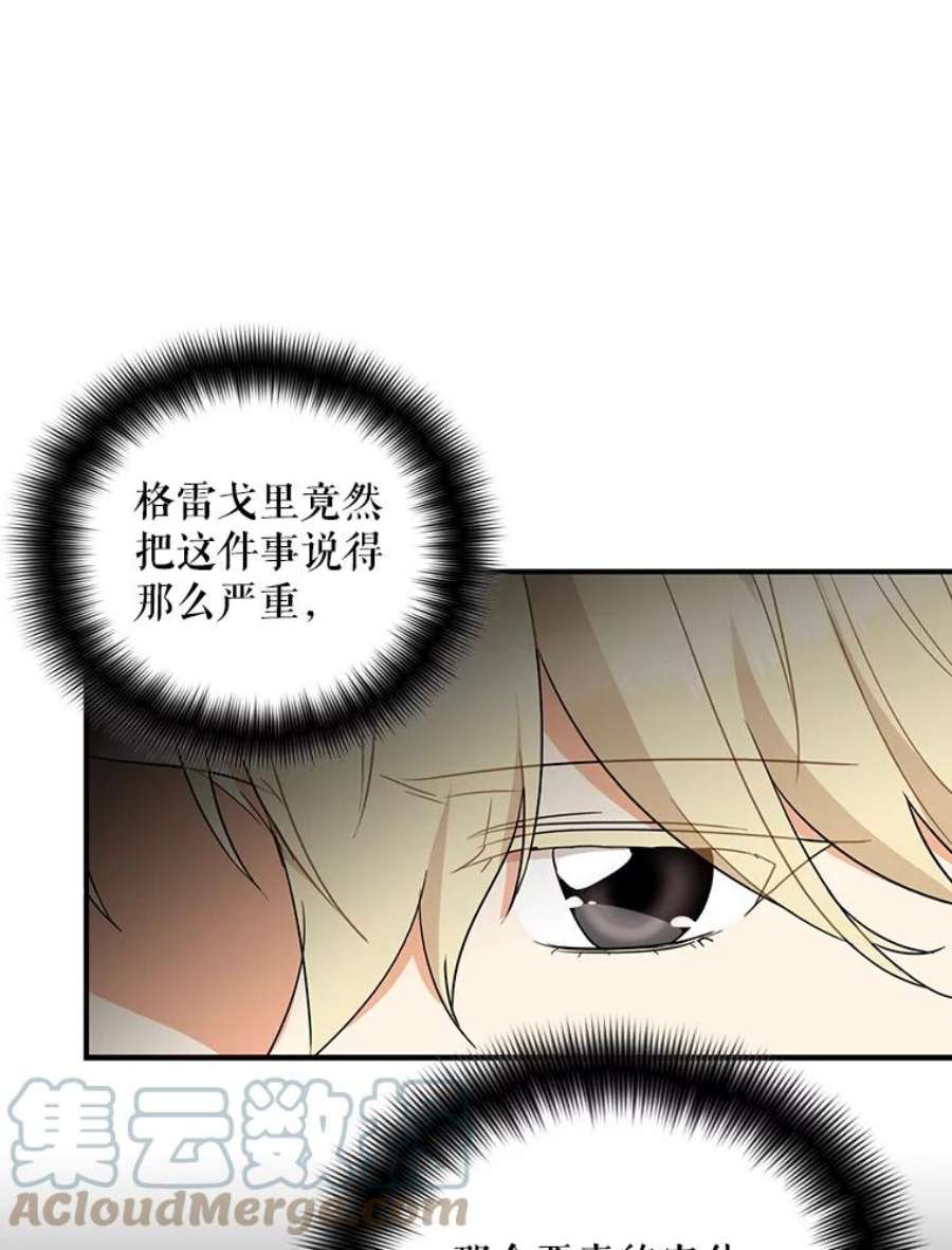 反派的继母47.魔力石