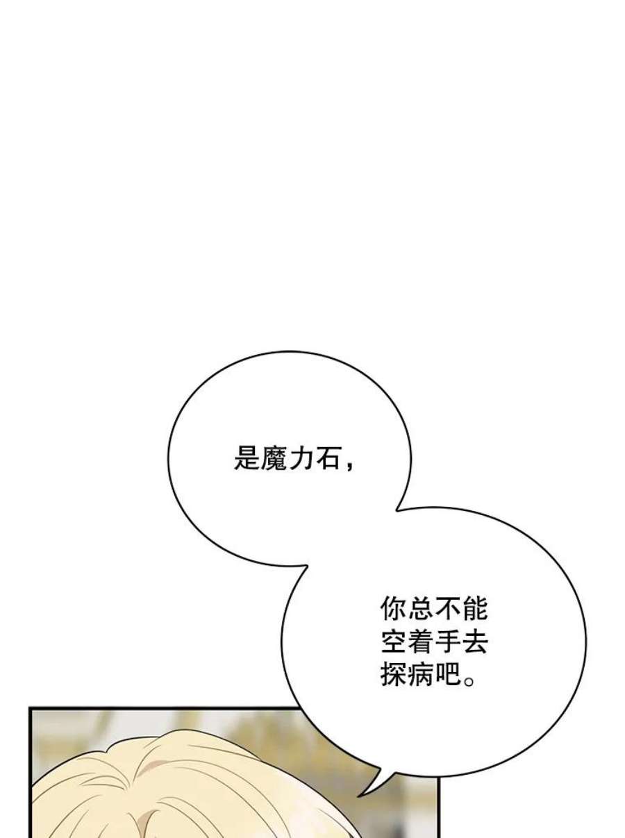 反派的继母47.魔力石