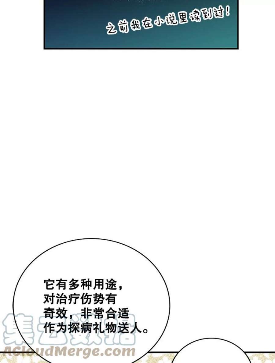 反派的继母47.魔力石