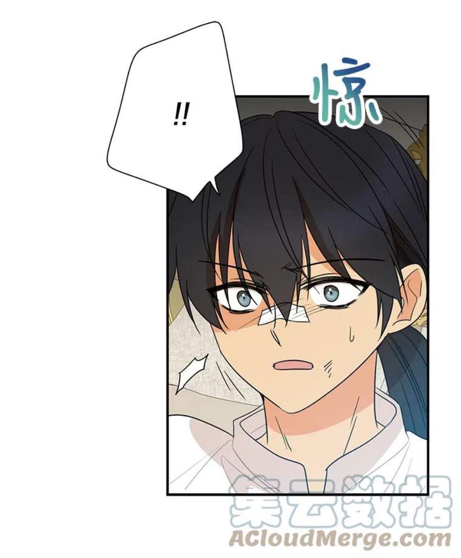 反派的继母47.魔力石