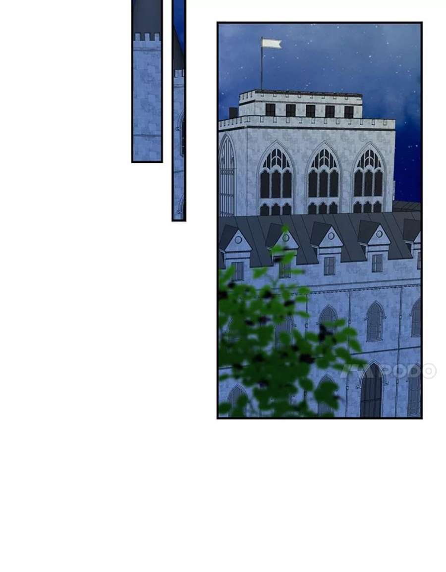 反派的继母55.皇太子的决心