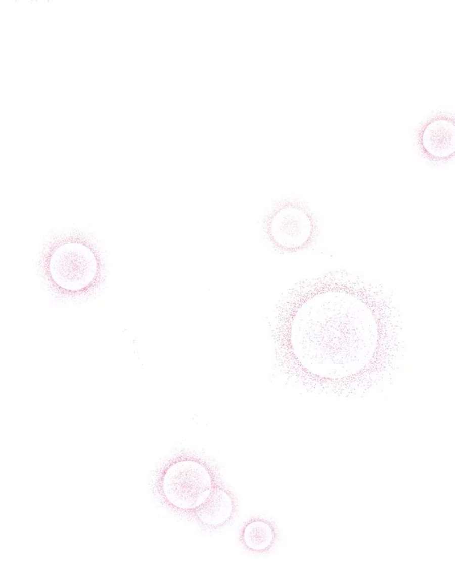 反派的继母61.幸福