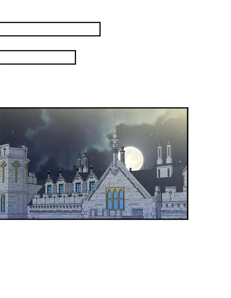 反派的继母65.宴会之后