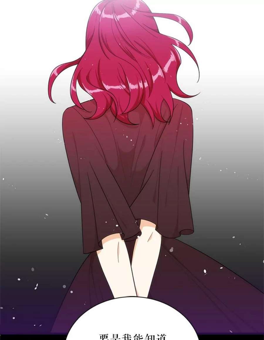 反派的继母65.宴会之后