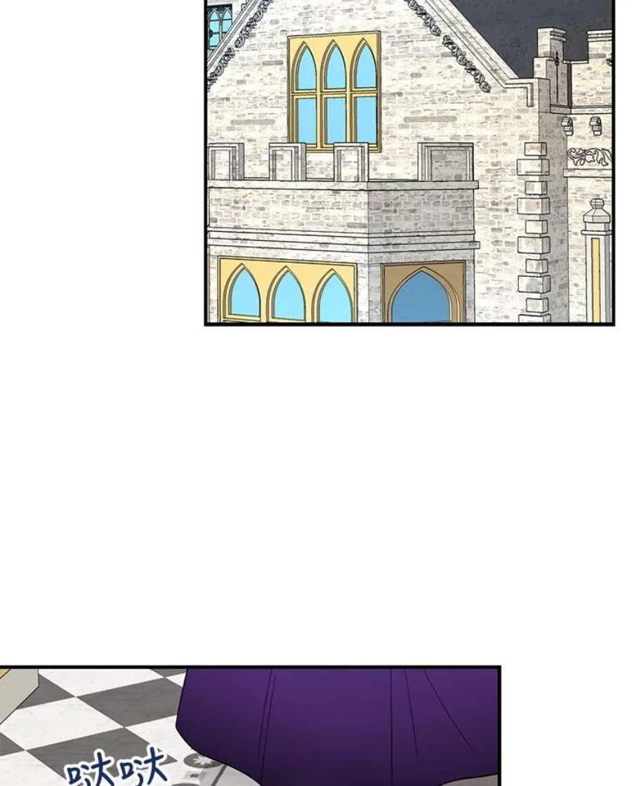 反派的继母65.宴会之后