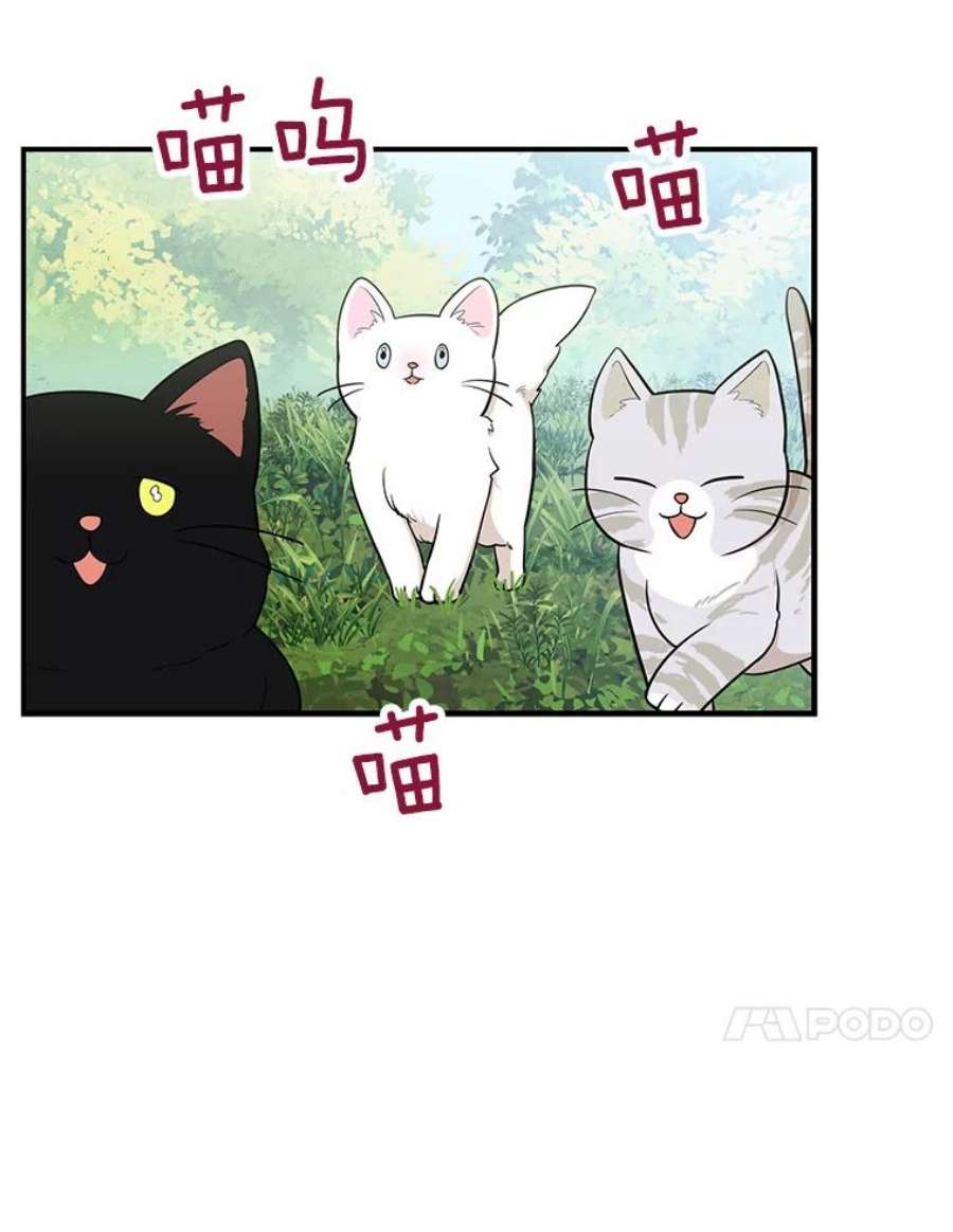 反派的继母68.卡丽娜的邀请函