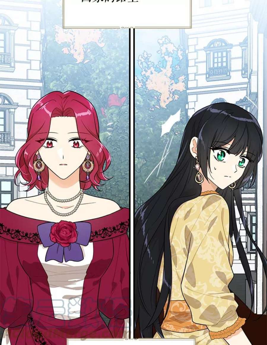 反派的继母68.卡丽娜的邀请函