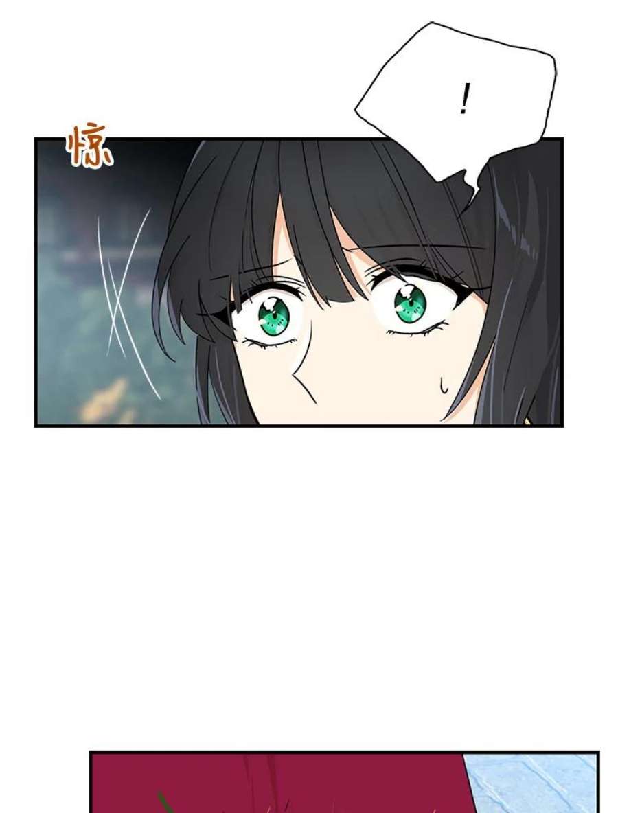 反派的继母68.卡丽娜的邀请函