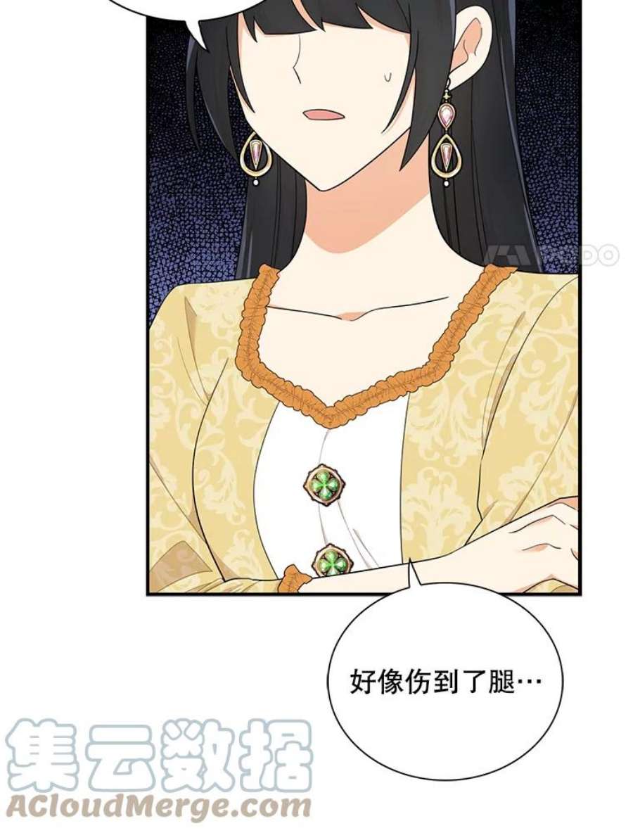 反派的继母68.卡丽娜的邀请函