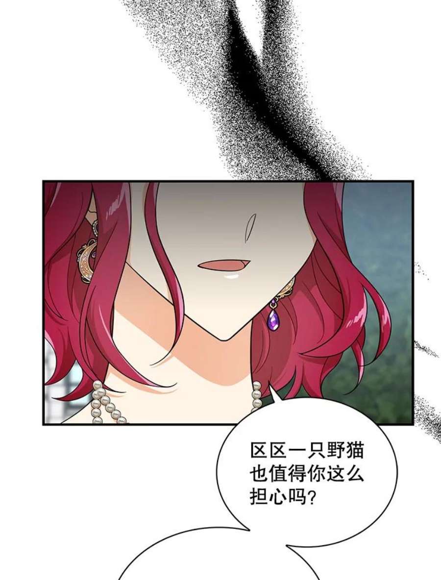 反派的继母68.卡丽娜的邀请函