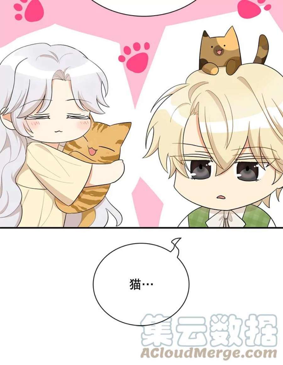 反派的继母68.卡丽娜的邀请函