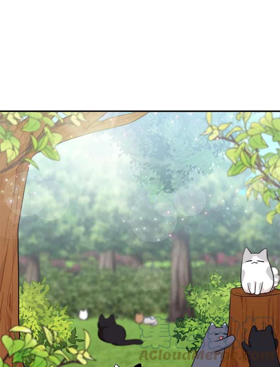 反派的继母69.和卡丽娜交朋友