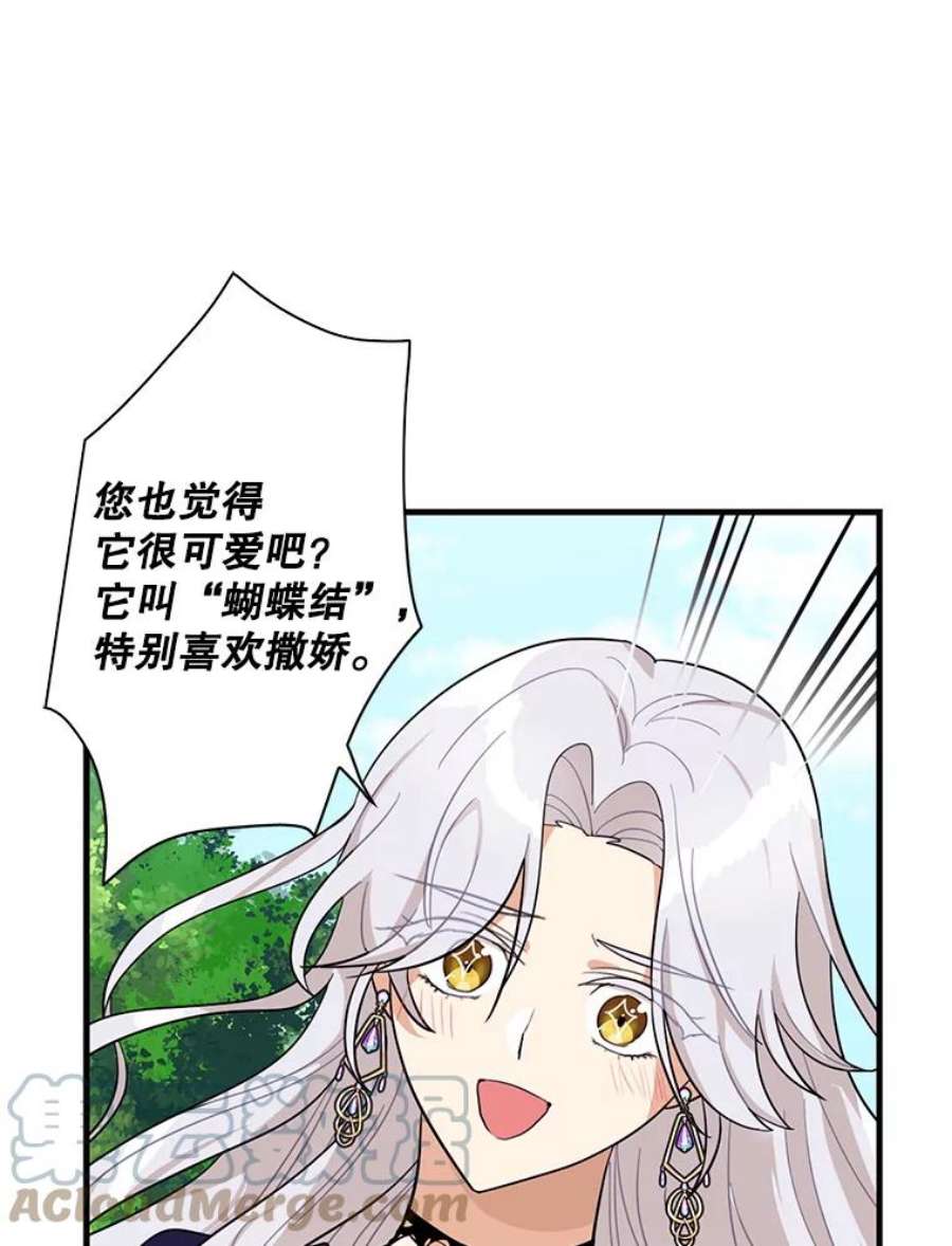 反派的继母69.和卡丽娜交朋友