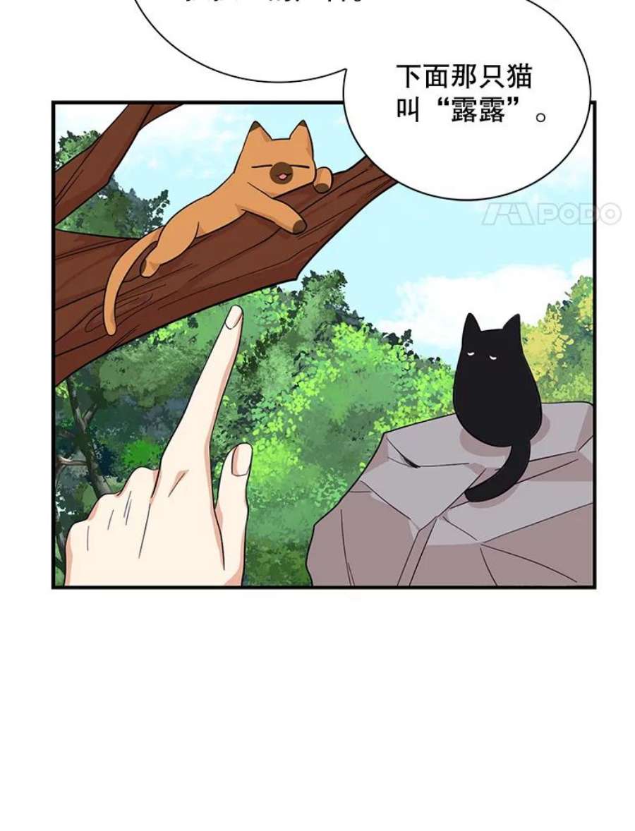 反派的继母69.和卡丽娜交朋友