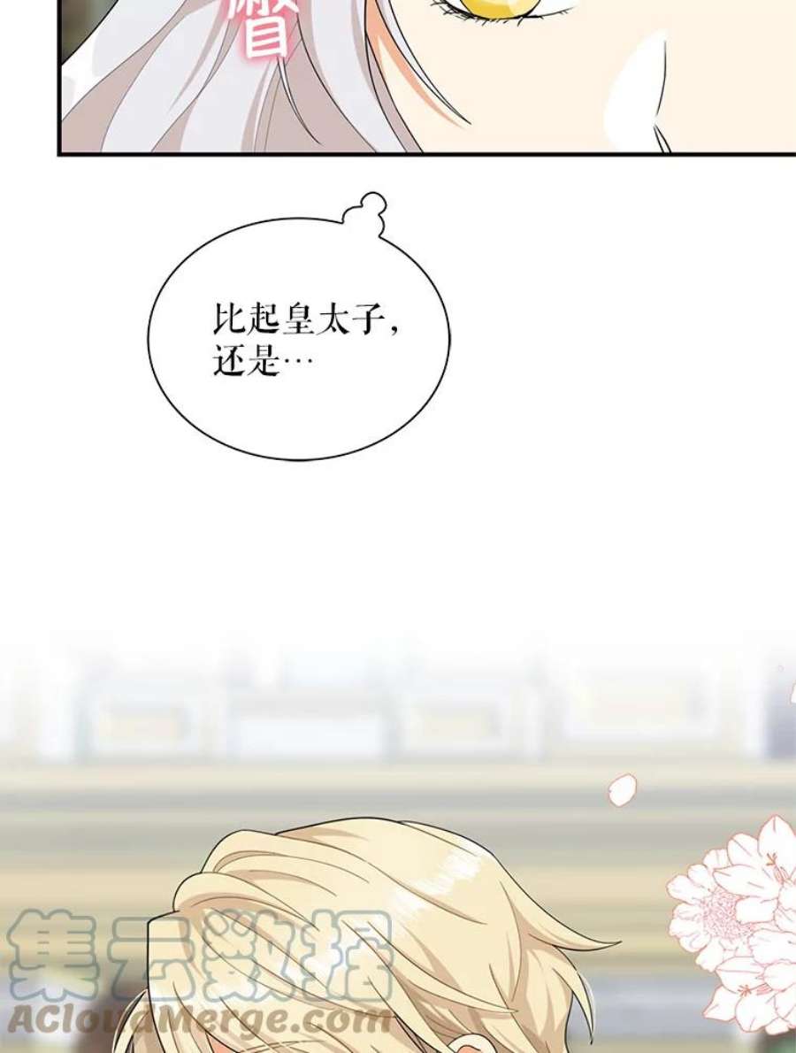 反派的继母74.皇太子出招