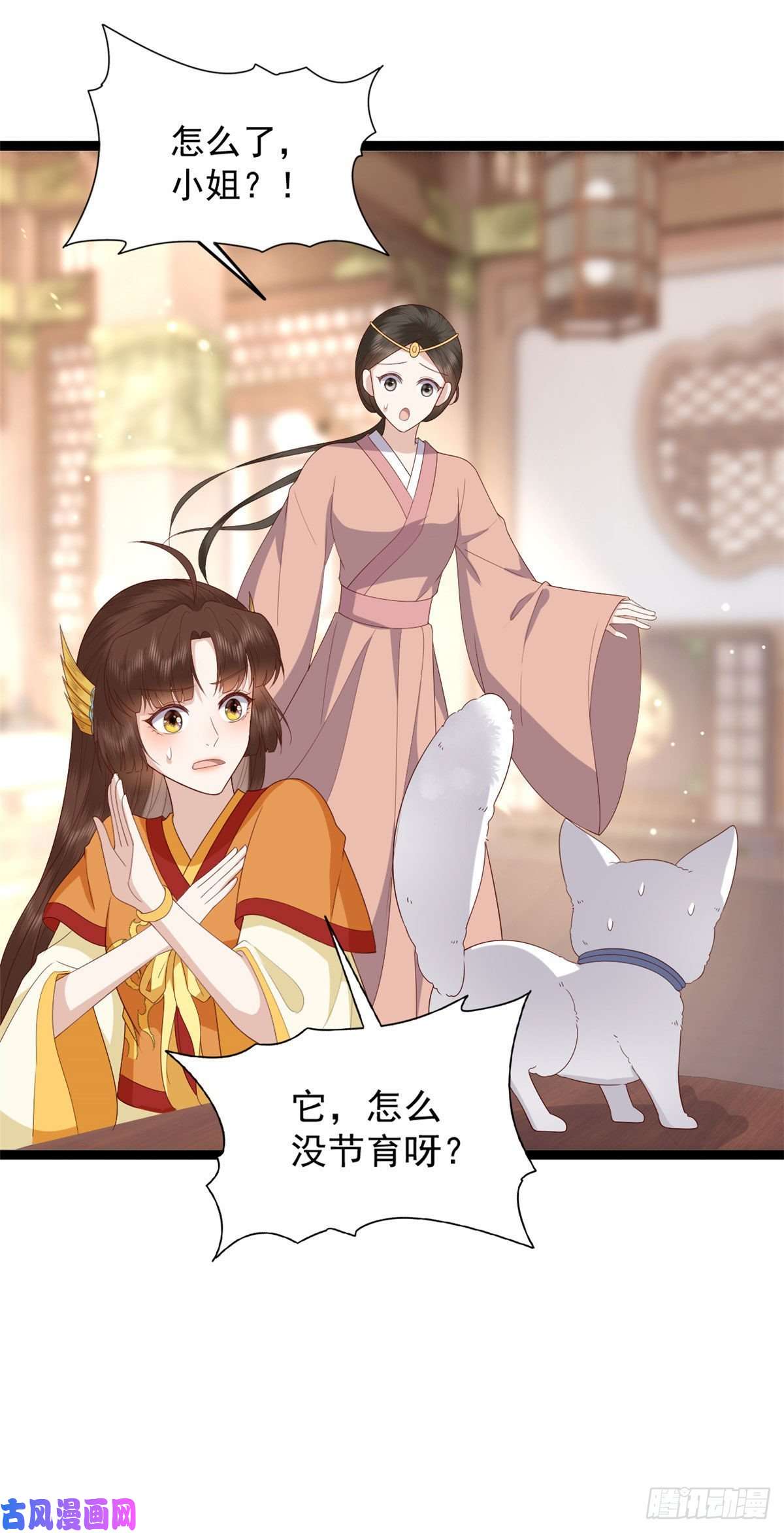 这个女配惹不起014