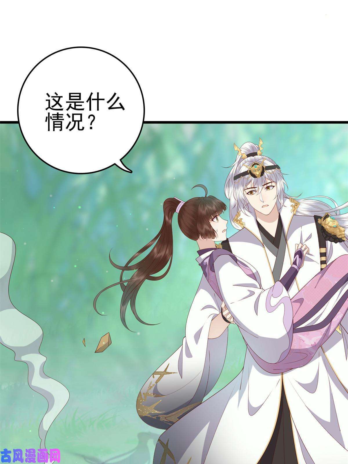 这个女配惹不起051 赤焰红槿