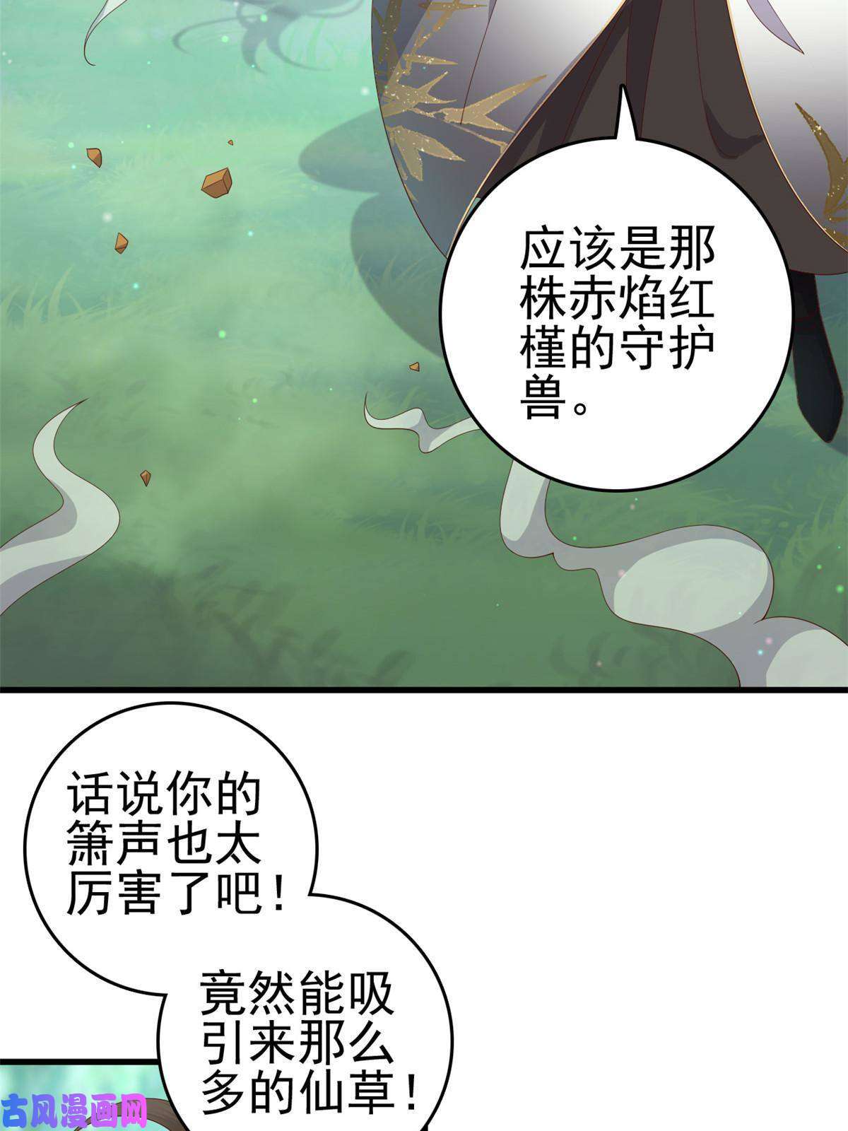这个女配惹不起051 赤焰红槿