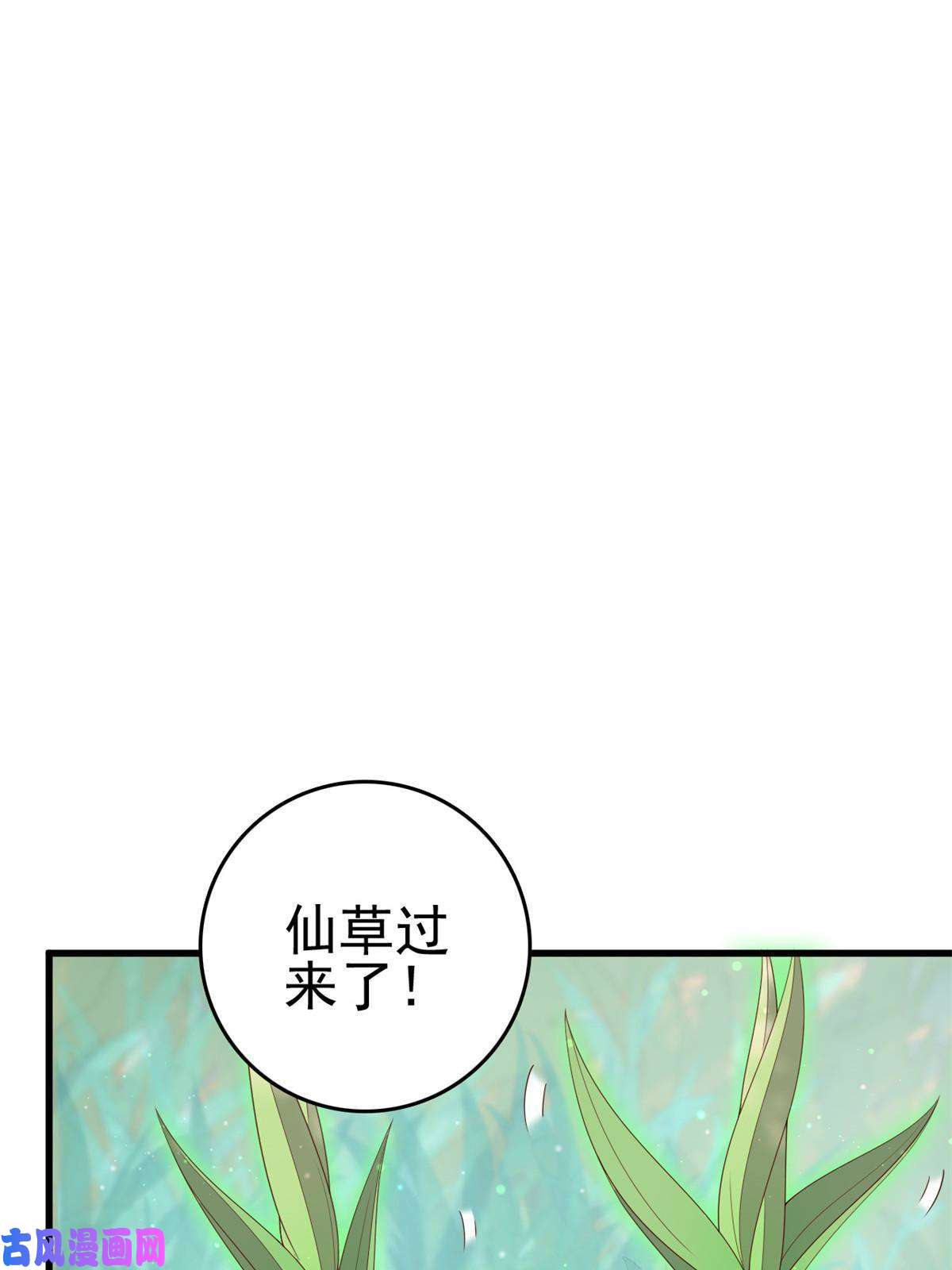 这个女配惹不起051 赤焰红槿