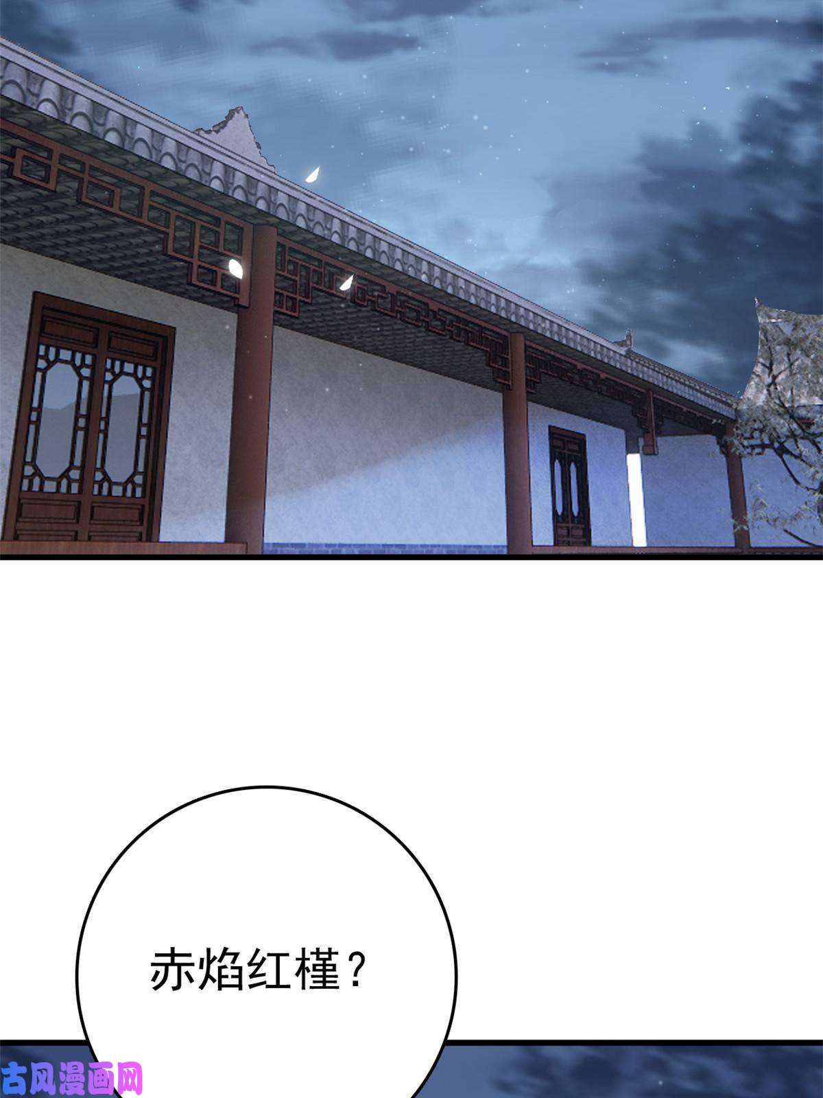 这个女配惹不起051 赤焰红槿