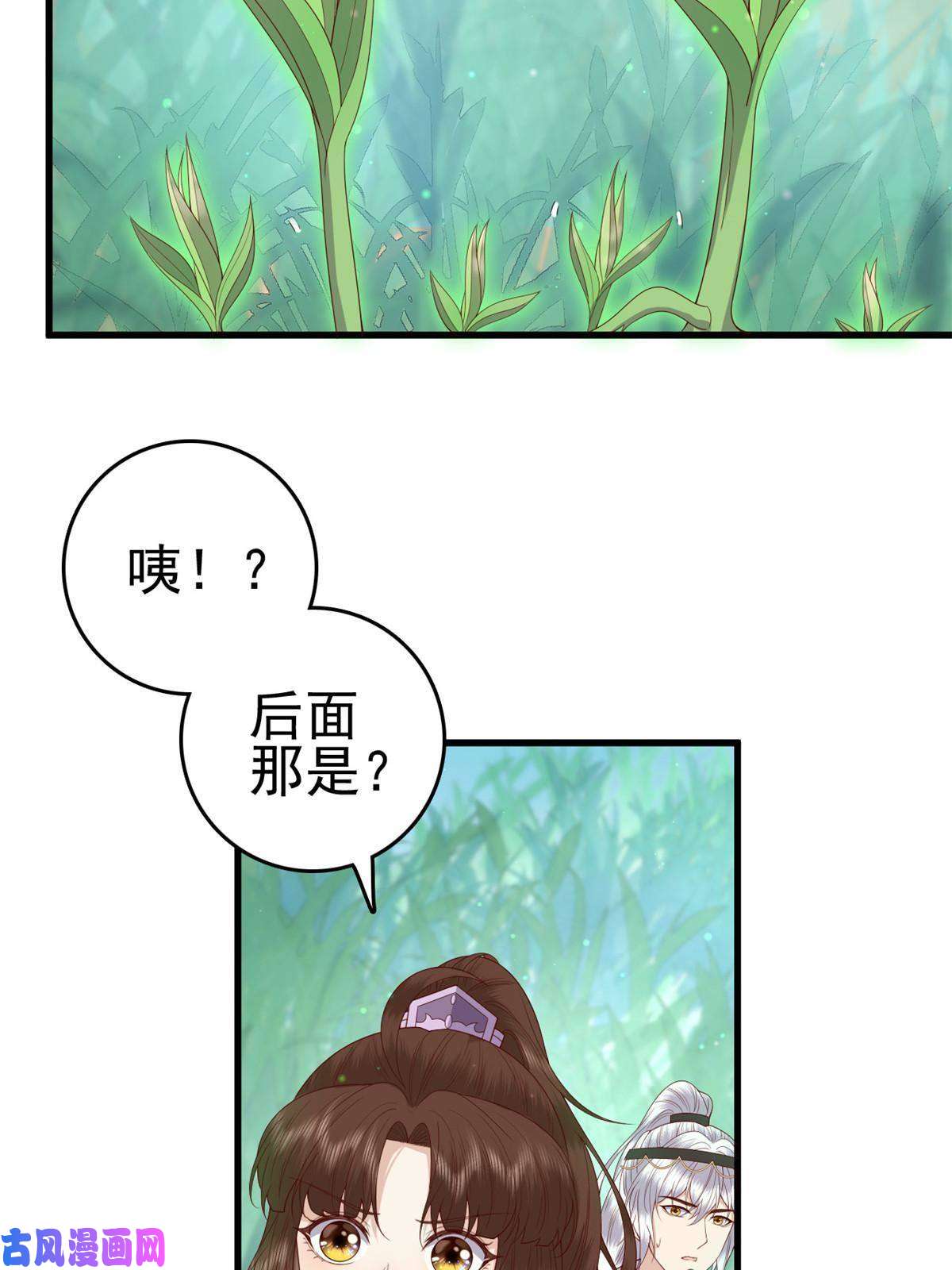 这个女配惹不起051 赤焰红槿