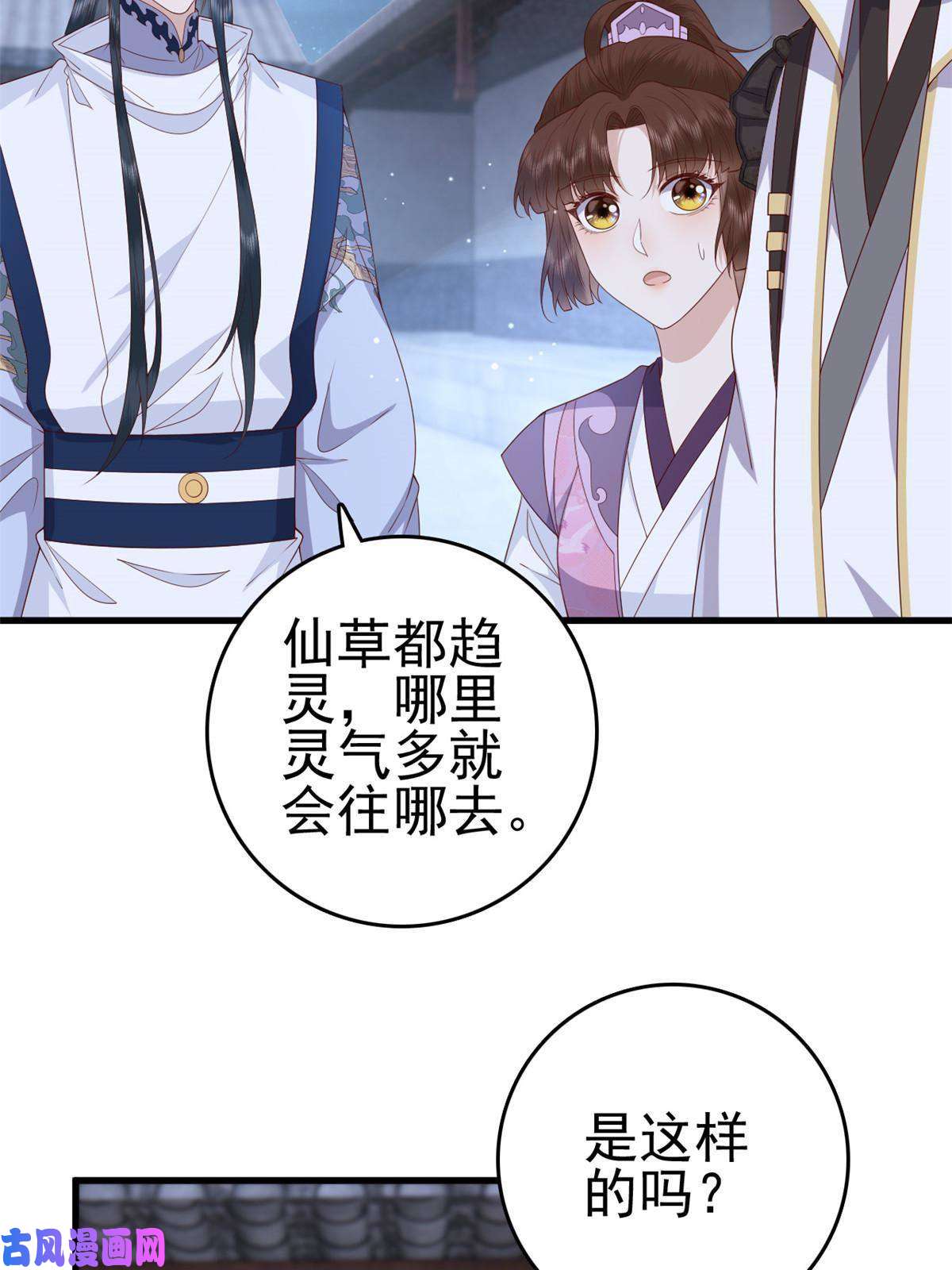 这个女配惹不起051 赤焰红槿