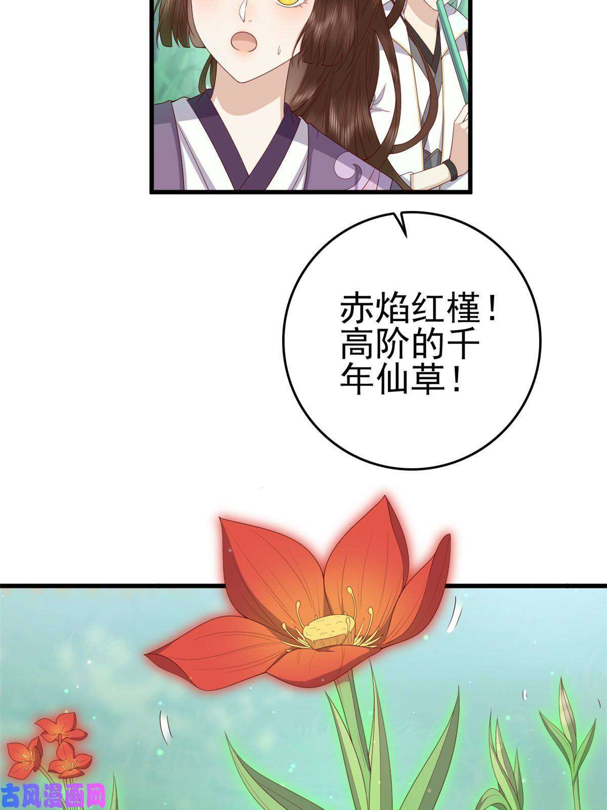 这个女配惹不起051 赤焰红槿