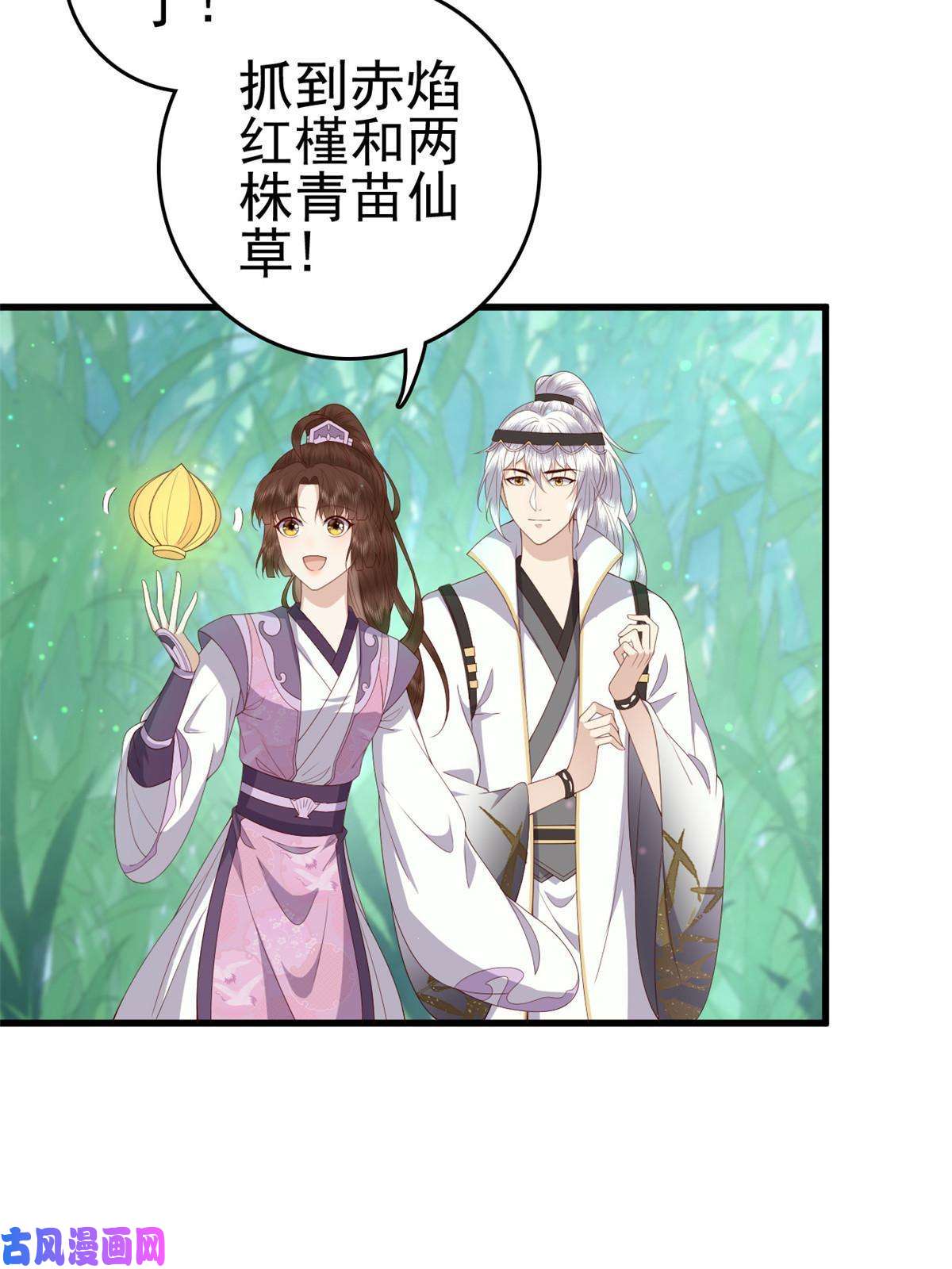 这个女配惹不起051 赤焰红槿