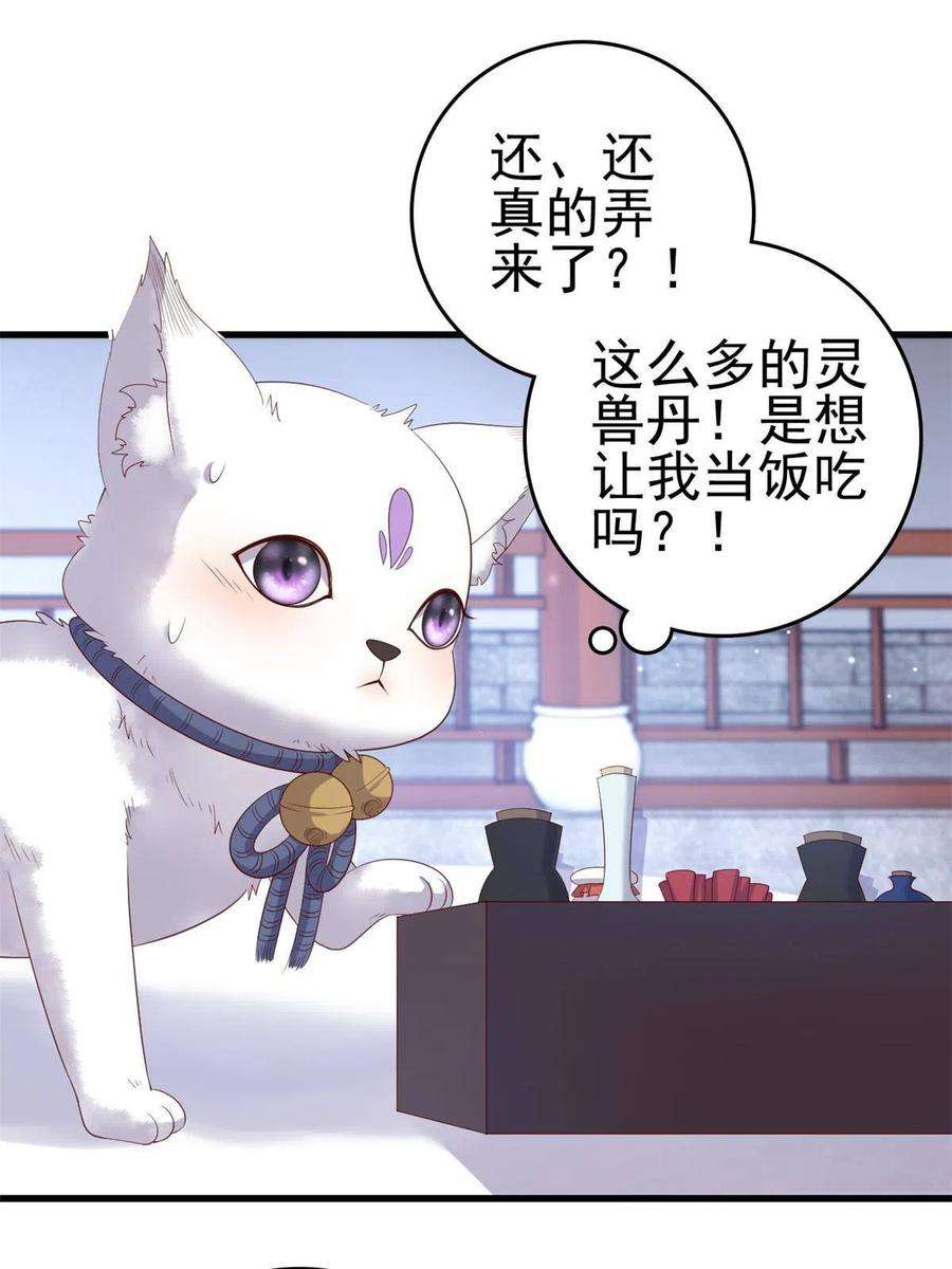 这个女配惹不起088 你是不是人傻钱多