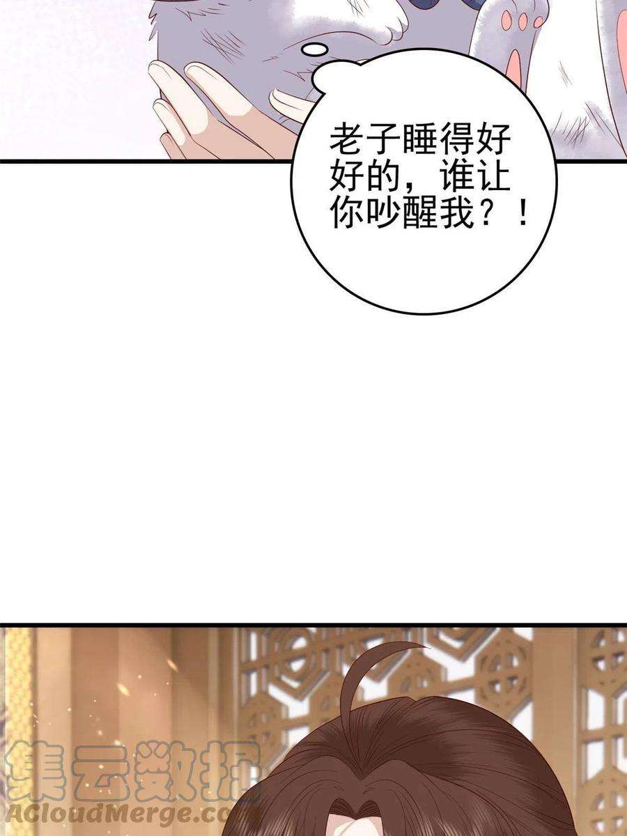 这个女配惹不起088 你是不是人傻钱多